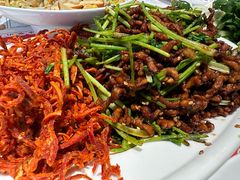 -老昌春饼(西民主路总店)