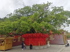 -广州莲花山旅游区