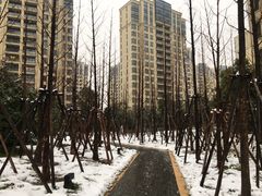 小区环境-仁恒西郊花园