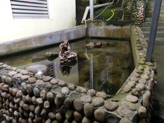 -洞背山庄(洞背院区式管理小区店)