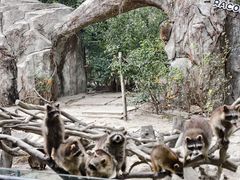 -宁波野生动物园