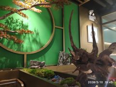 -鲜潭蒸汽石锅鱼(五道口购物中心店)