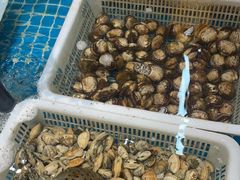 -和源祥·日照菜扛把子(万平口一店)