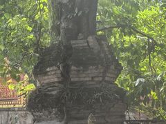 -西双版纳傣族园