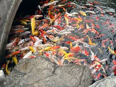 -西林禅寺
