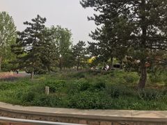 -东郊湿地公园