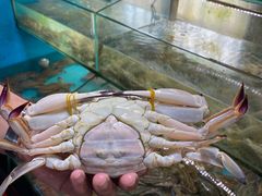 -西门岛码头海鲜馆