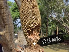 -中国科学院西双版纳热带植物园