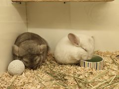 -龙猫仔乐园(惠福东路店)