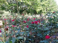 -白塘生态植物园