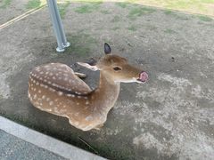 -黄龙溪欢乐田园