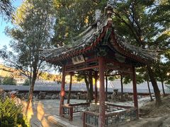 -莲池书院博物馆