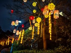 -南通濠河风景名胜区