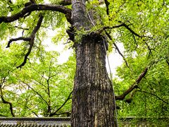 -青岛崂山太清宫