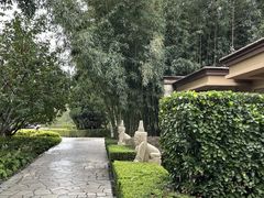 -春晖园度假酒店温泉