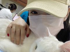 -美联众合动物医院·24h转诊中心