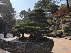 -南山植物园