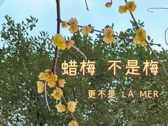 -温江公园