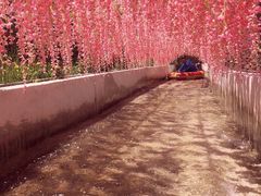 -雪山彩虹谷景区