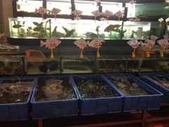 水产区-年顺渔村(大岭山店)