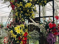 -上海鲜花港