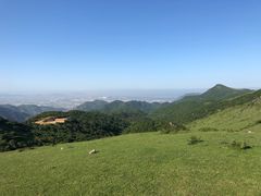 -大姆山草场