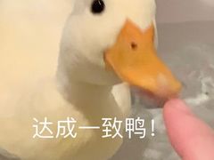-虎哥私房菜(馒头山店)