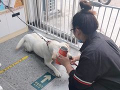 -宠物家(大兴旧宫店)