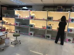 -lincat·猫舍(广州店)