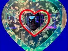 -左海海底世界