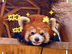 -北京野生动物园