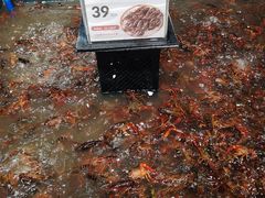 -盒马鲜生(曜一城店)