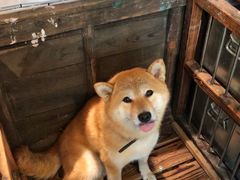 -大水的店(昙华林店)