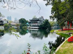 -荔湾湖公园