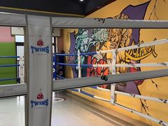 -臻元搏击格斗泰拳拳馆(港隆店)
