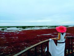 -红海滩国家风景廊道