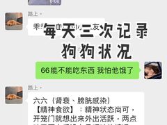 -泰洋动物医院·神经专科·磁共振·CT(天河公园总院)