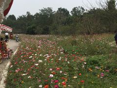 -桤木河湿地公园