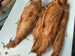炸撅嘴鱼-燕北云山·农家菜·灶台鱼(密云溪翁庄店)