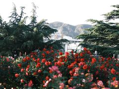 -国家植物园南园