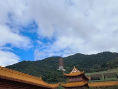 -深圳仙湖植物园