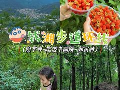 -东钱湖旅游度假区