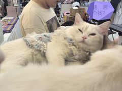 -万达广场(大明宫店)