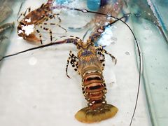 -泰华海鲜中餐厅(普吉镇店)
