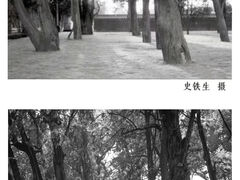 -地坛公园