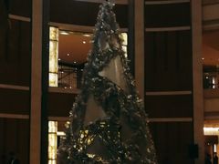 -深圳星河丽思卡尔顿酒店