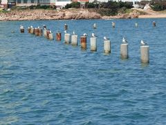 -青岛第二海水浴场