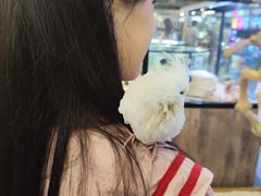 -宠物世家(仲盛世界商城店)
