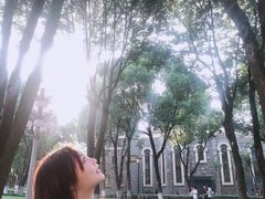 -重庆市江北嘴中央商务区中央公园