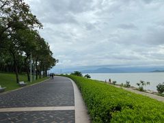 -深圳湾公园(南山区)